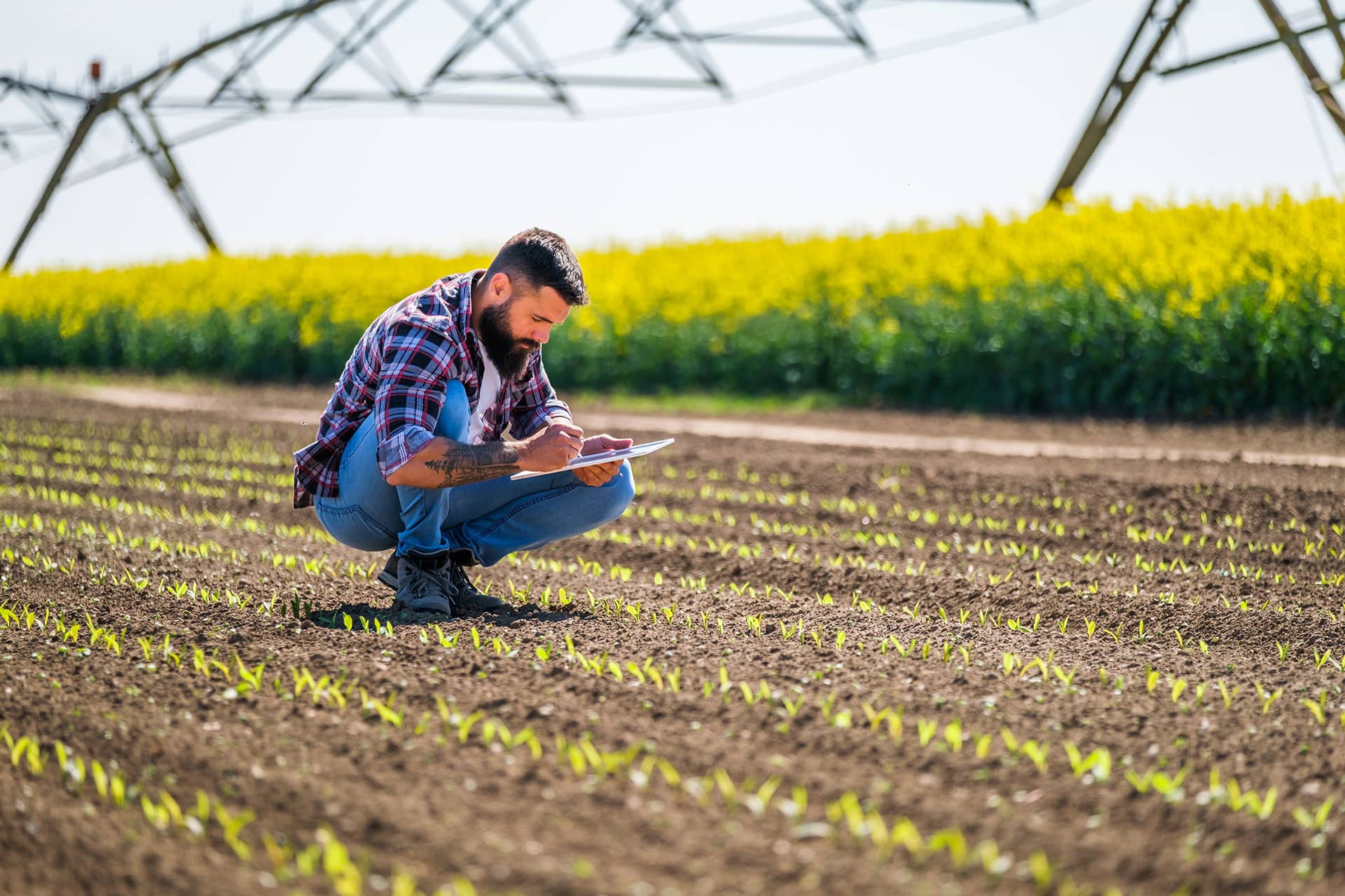 agriculture-VK3EUHP.jpg