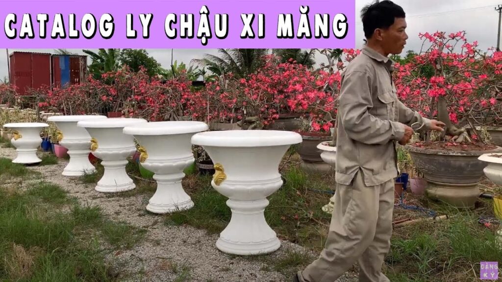 canh-phong-ly-chau-xi-mang-hai-phong-ha-noi-mien-bac